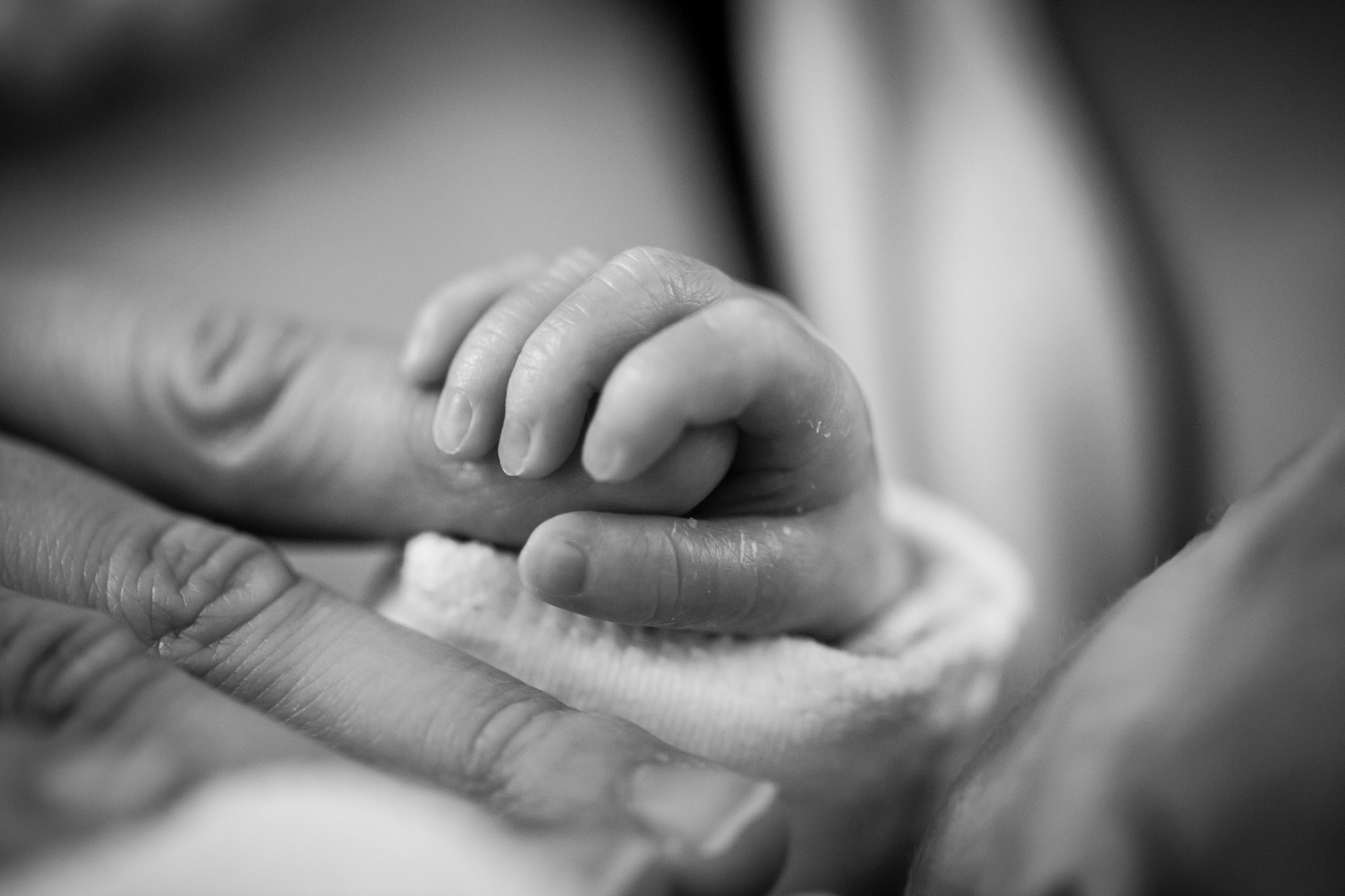 Baby hands holding their parents finger